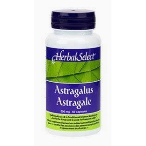 Astragalus Root (HerbalSelect), 60 caps