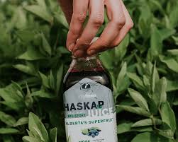 Haskap Berry Juice (Rosy), 320ml