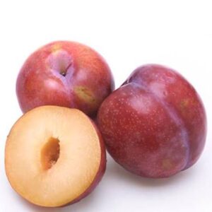 Plums Red Org, 4 pieces